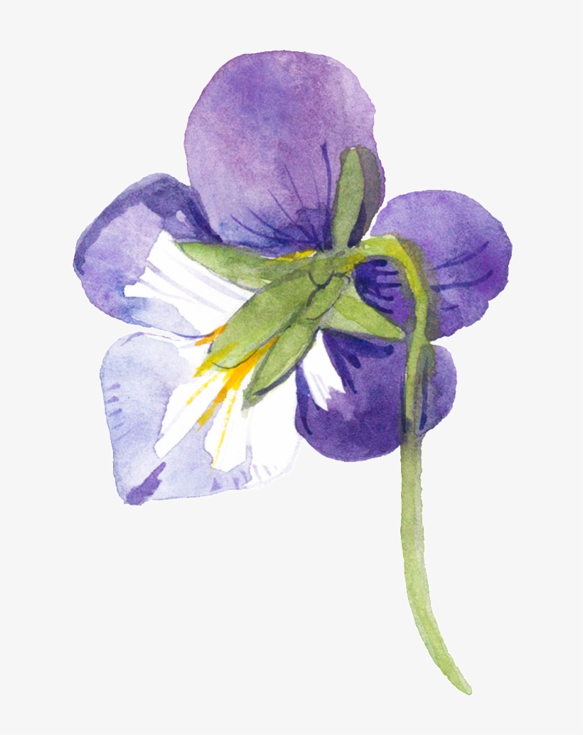 Purple Hand-painted Watercolor Transparent Material - Watercolor Painting, transparent png download