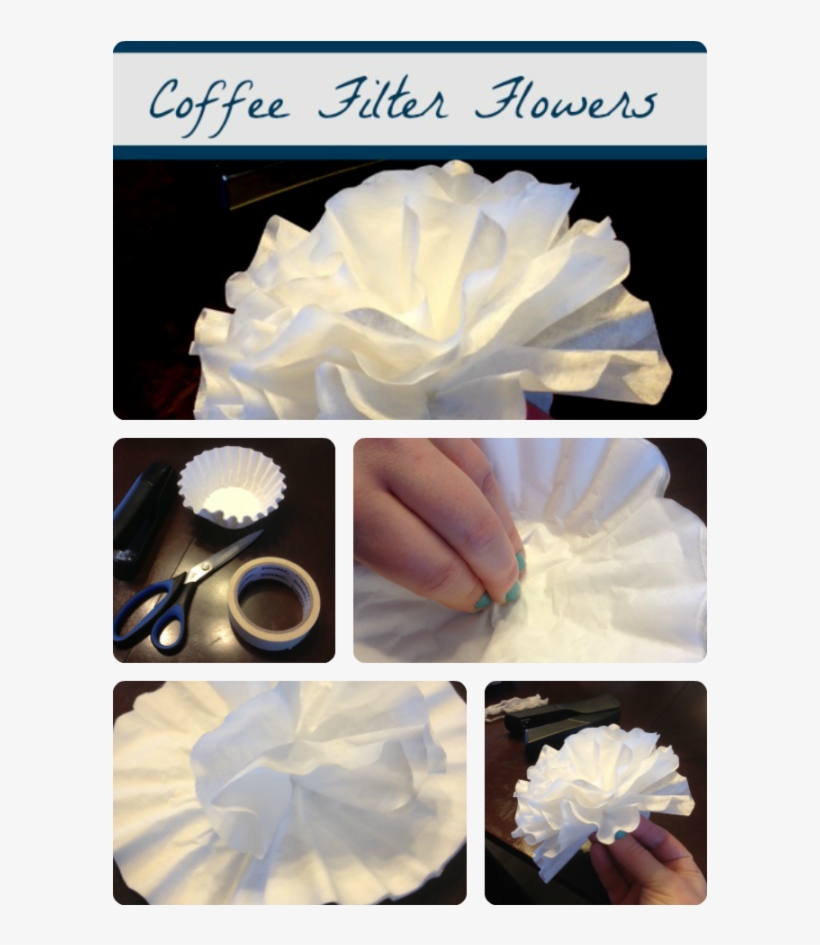 Coffee Filter Flowers - Flower, transparent png download