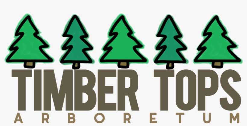 Timber Tops Arboretum - Christmas Tree, transparent png download