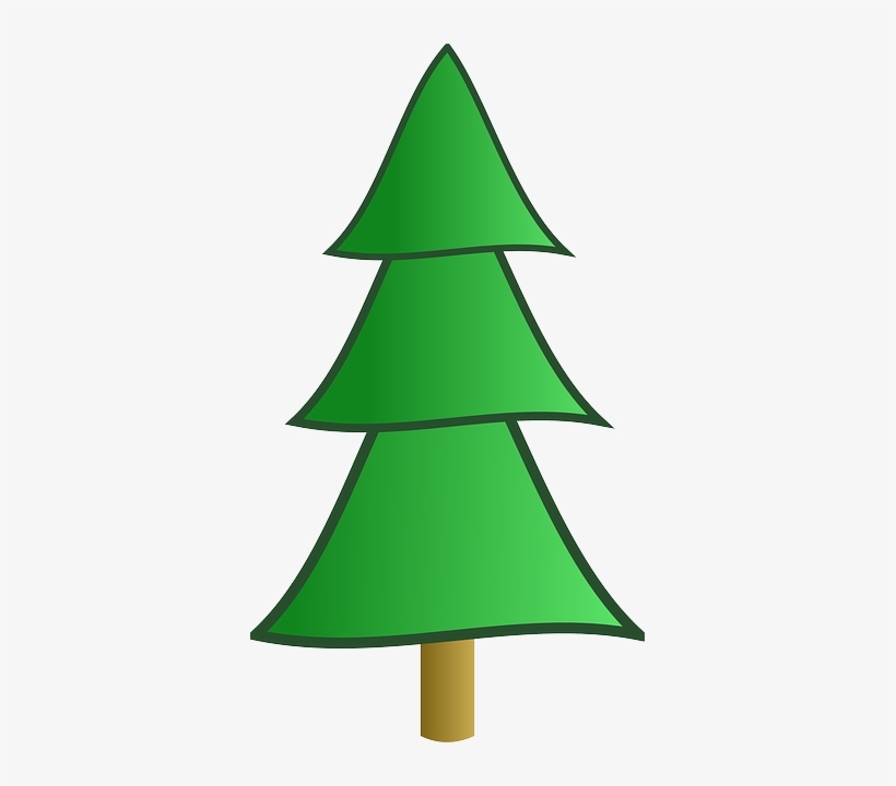 This Graphics Is Fir Tree Clipping About Chinese Fir,pine - Fir Tree Clipart, transparent png download