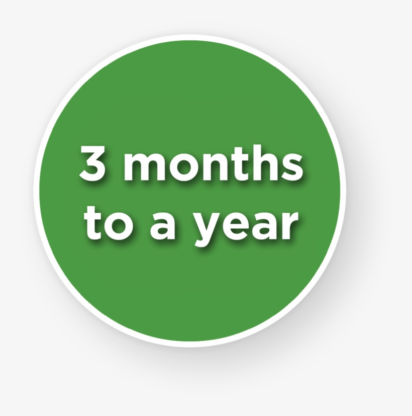 3 Months To A Year - Circle, transparent png download
