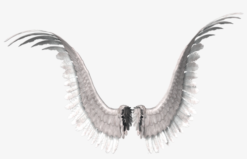 Transparent Wings Png Download - Video Game, transparent png download