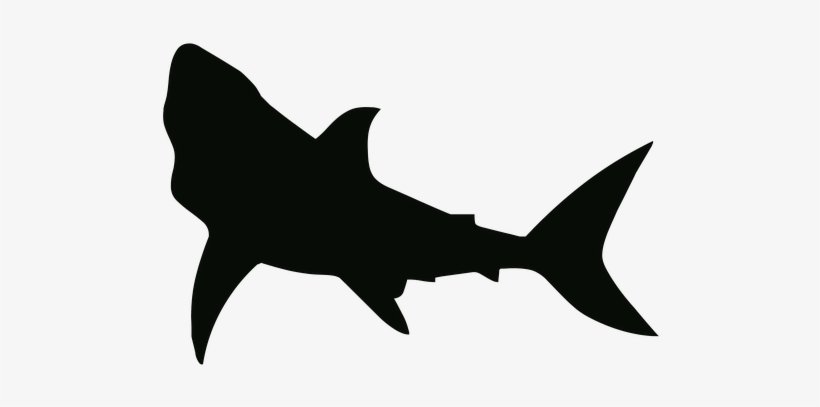 Drawn Shark Transparent - Shark Stencil, transparent png download