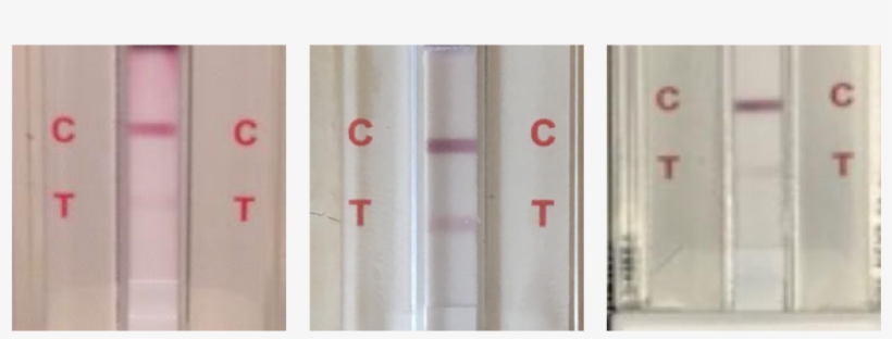 Faint Line On Drug Test - Home Door, transparent png download