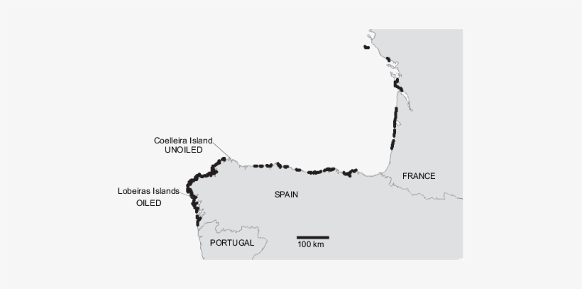 Coastal Areas Affected By The Prestige Oil Spill In - Map, transparent png download