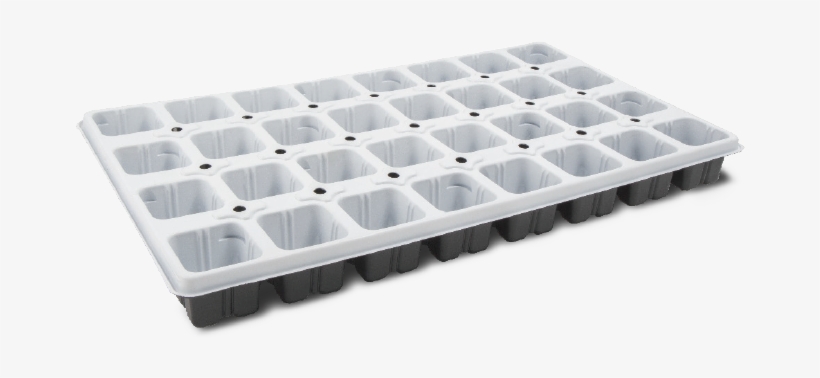 Ø50 Mm Es50032-ro Tray - Bandeja Llena, transparent png download