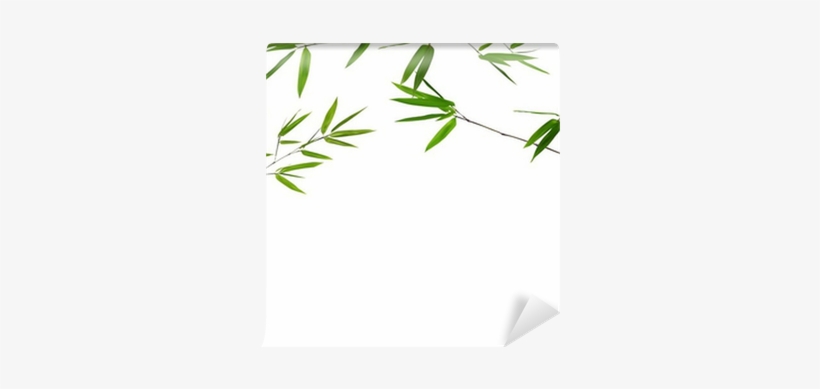 Frame From Green Stem With Bamboo Leaves Wall Mural - Illustration, transparent png download