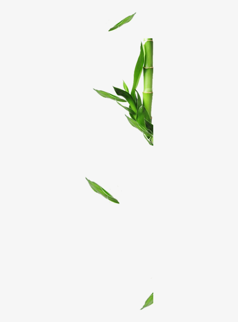 The Go Towel - Towel, transparent png download