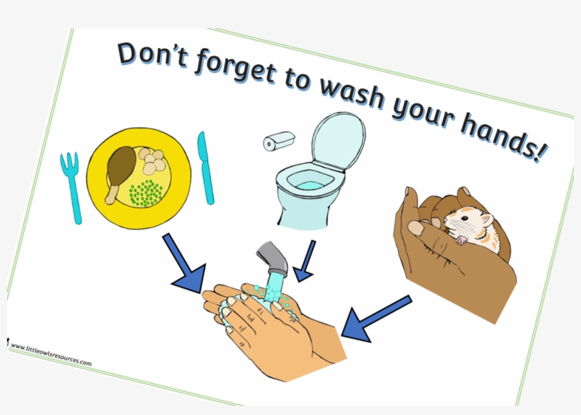 Washhandscover - Hand Washing, transparent png download