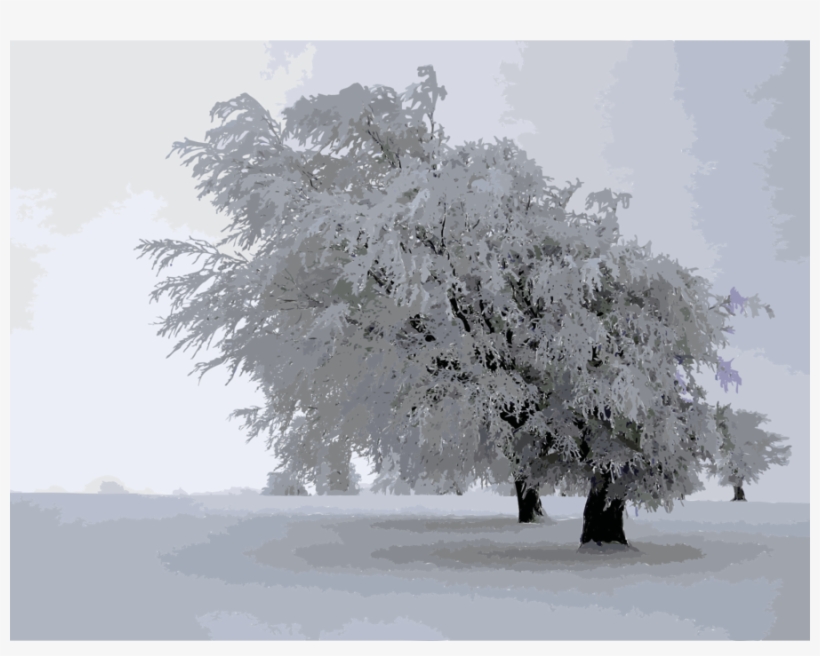 Download Rime Form Of Precipitation Clipart Hard Rime - Snow, transparent png download