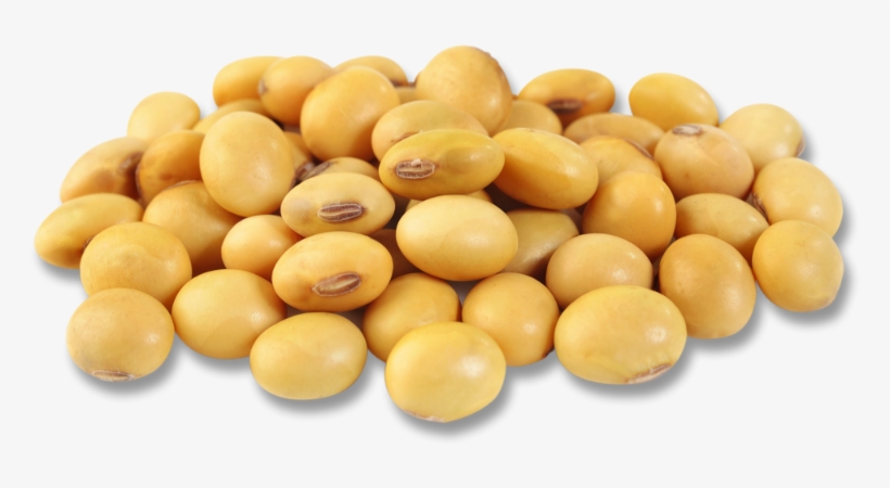 Soybean Pile - Soybean, transparent png download