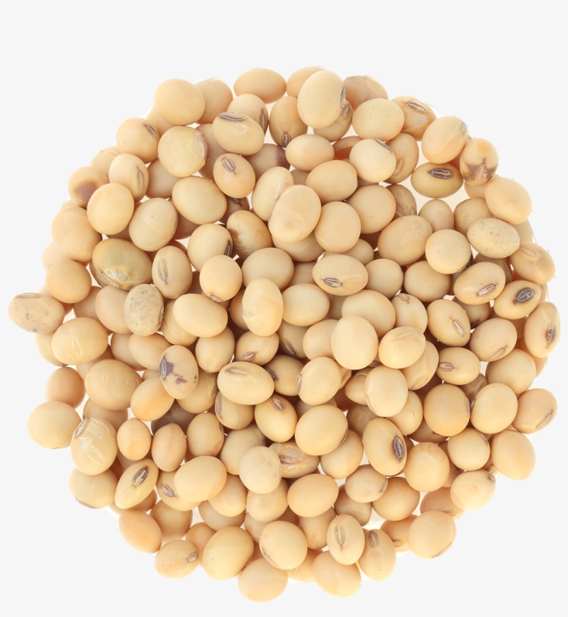 Small Pile Of Grain - Roasted Soybeans Png, transparent png download