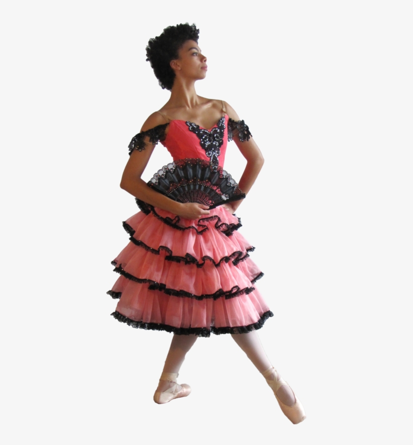 Tutu & Bodice Kit - Skirt, transparent png download