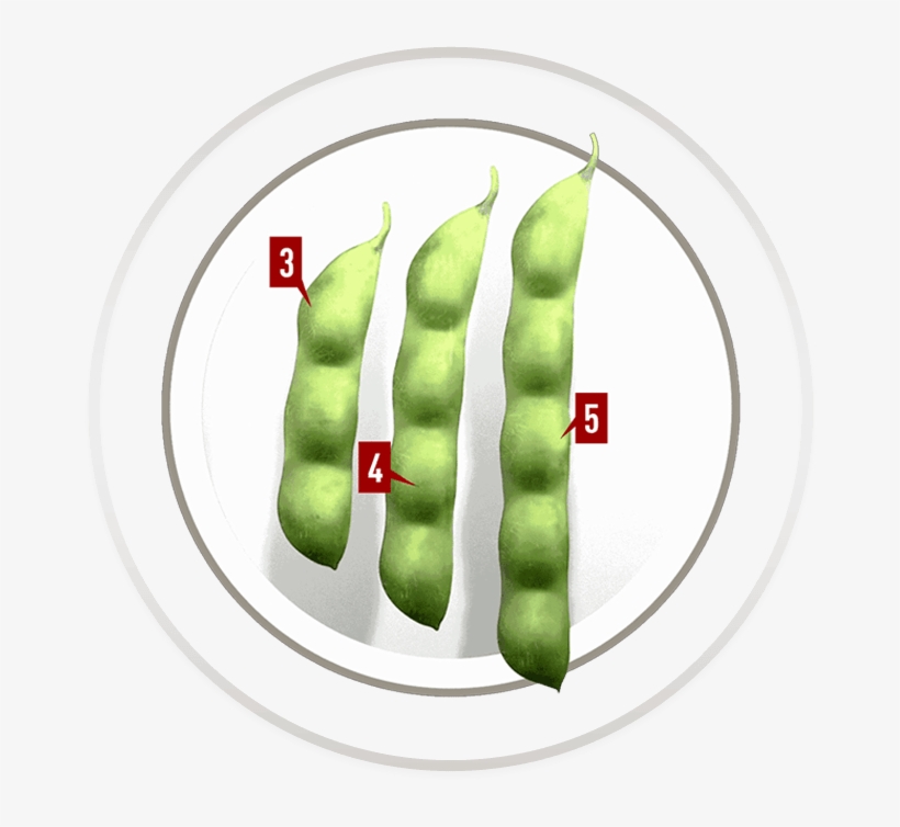 Built On Game-changing Technology - Circle, transparent png download