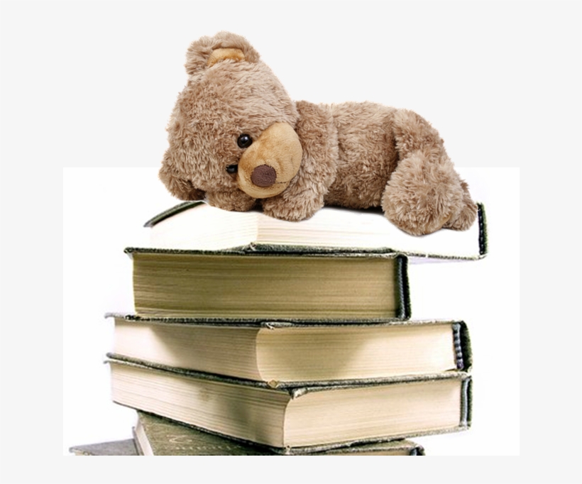 Teddy Bear With Book, transparent png download