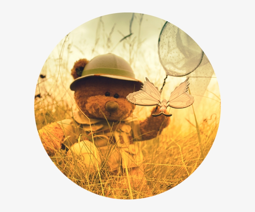 Teddy Bear Picnic Circle - Teddy Bear, transparent png download