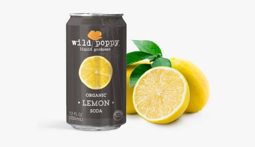 Spins Names Wild Poppy Soda As A Top 5 Favorite From - おろし器 テンレス スチール チーズ卸器 多機能 チーズ レモン シトラス フルーツ ゼスター レッド, transparent png download