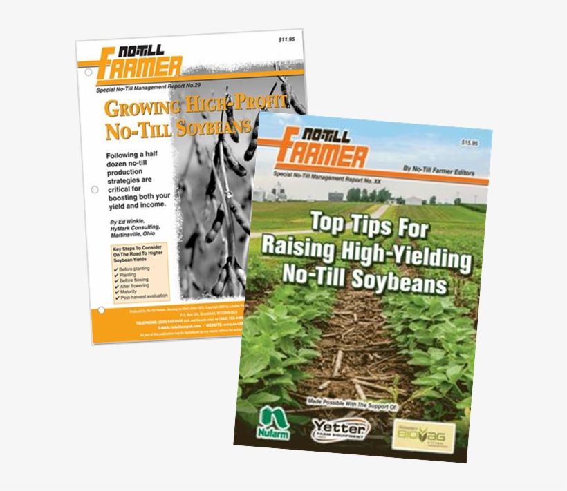 Grass, transparent png download