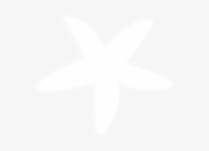 Star Fish White Png, transparent png download