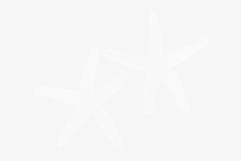 Samsung Logo White Png, transparent png download