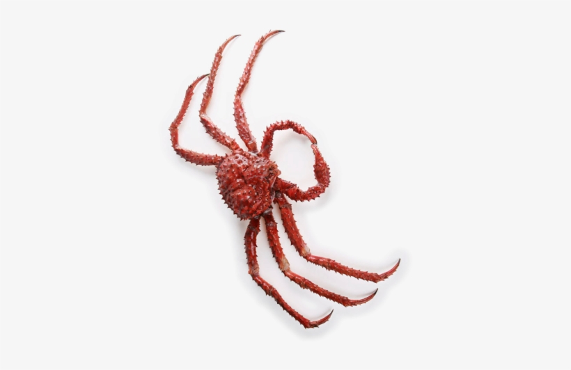 Charlie Horse Restuarant - Charlie Horse Restaurant, transparent png download