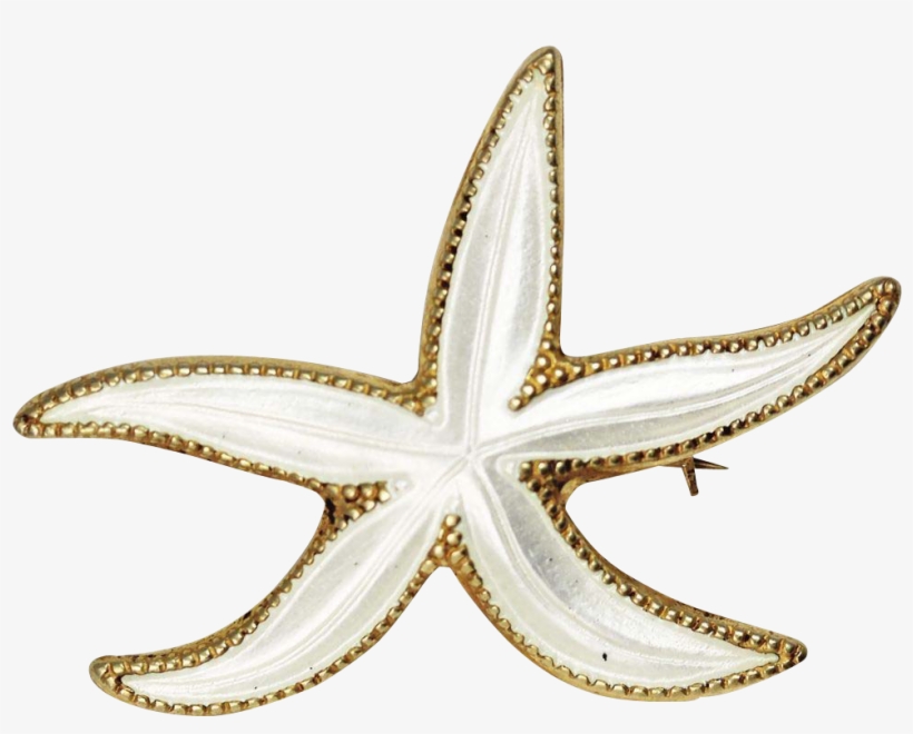 David Andersen White Enamel Sterling Silver Starfish - Brooch, transparent png download