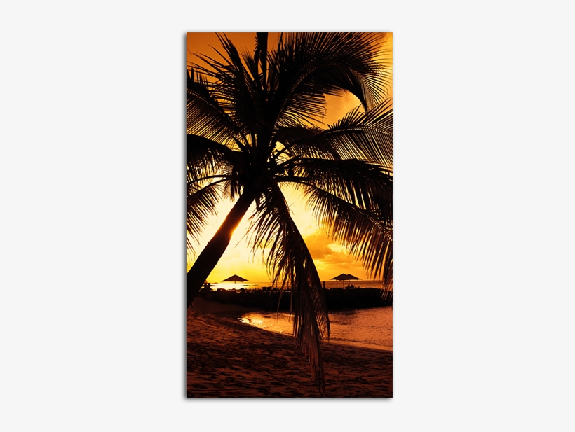 Wicked Game Big - Fahad Name Meaning In Arabic, transparent png download