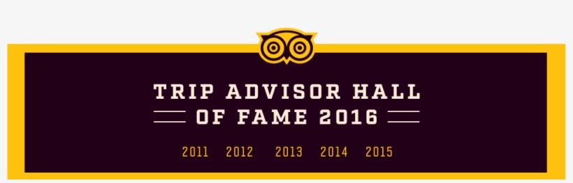 Advisor Image - City Brew Tours Baltimore, transparent png download