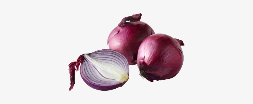 Red Bulb - Red Onion, transparent png download