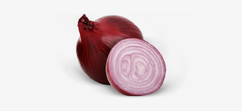 Onion, transparent png download