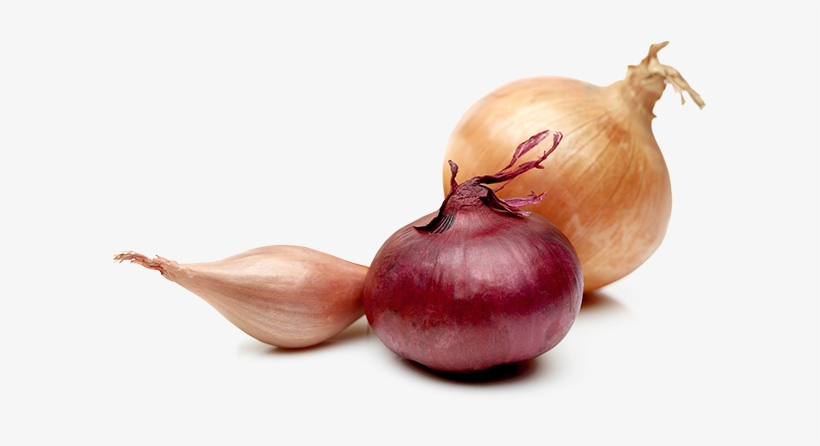 The Highly Developed Drying And Preservation Techniques - Red Onion, transparent png download