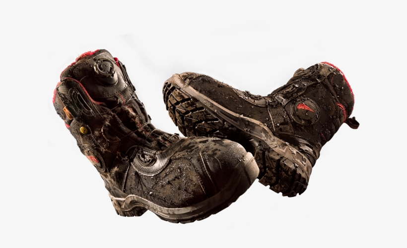 20 Am 35739 Head To Toe Map 2 3/22/2017 - Hiking Shoe, transparent png download