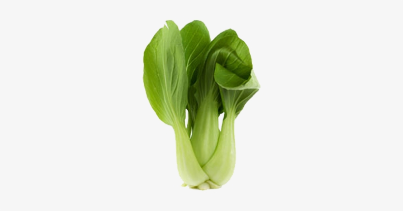 Bok Choy Png Clipart - Bok Choy Png, transparent png download