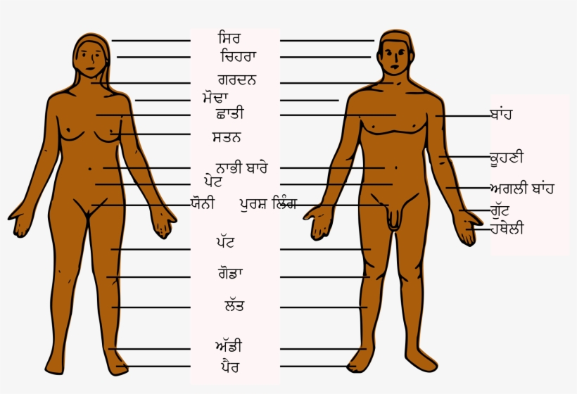 Open - Long Market, transparent png download