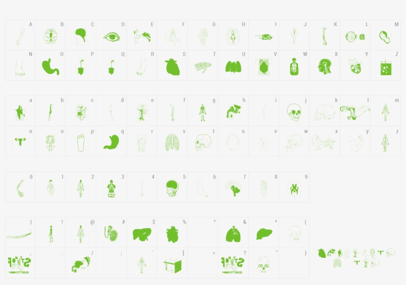 Font Human Body Parts Preview - Number, transparent png download
