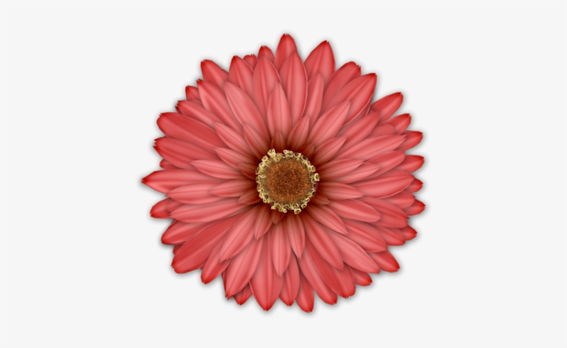 0 112265 8aa9c43 Xl - Pretty Green Zinnia Flower Shower Curtain, transparent png download