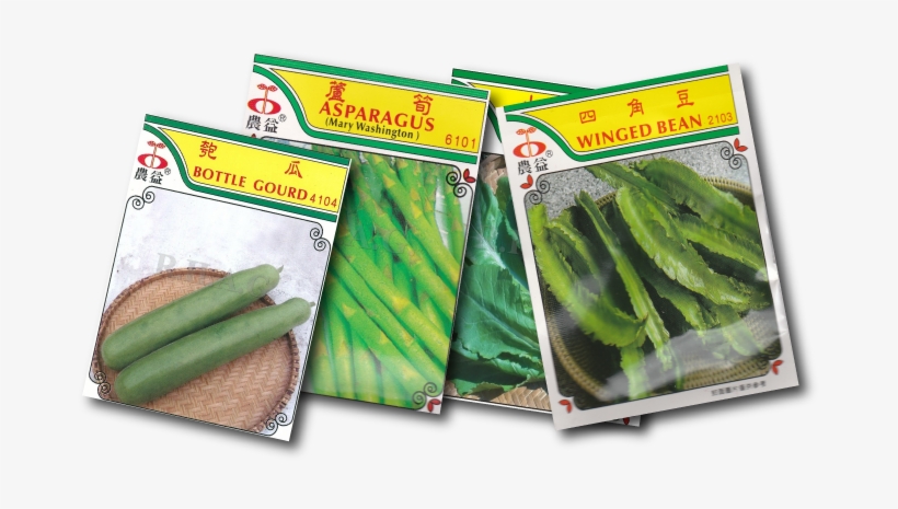 Shanghai Bok Choy - 50 Asian Heirloom Winged Bean Seed By Stonysoil Seed, transparent png download