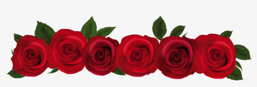 The Benefits And Characteristics Of Popular Ingredients - Red Rose Border Clip Art, transparent png download