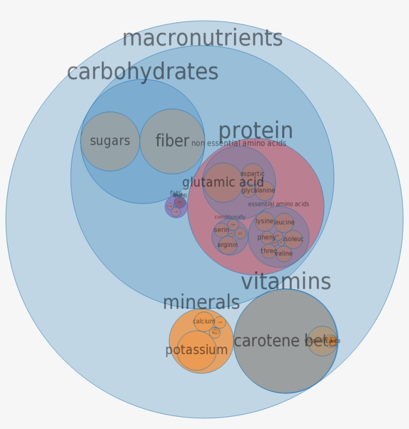 Bok Choy, Cooked -all Nutrients By Relative Proportion - Types Of Circular Charts, transparent png download