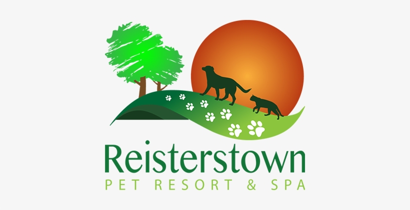 Pet Boarding - Rbk Pet Resort & Spa, transparent png download