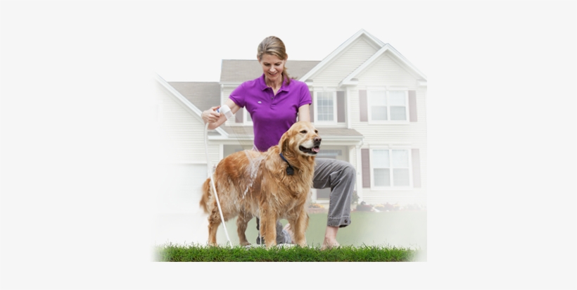 Shower A Dog, transparent png download