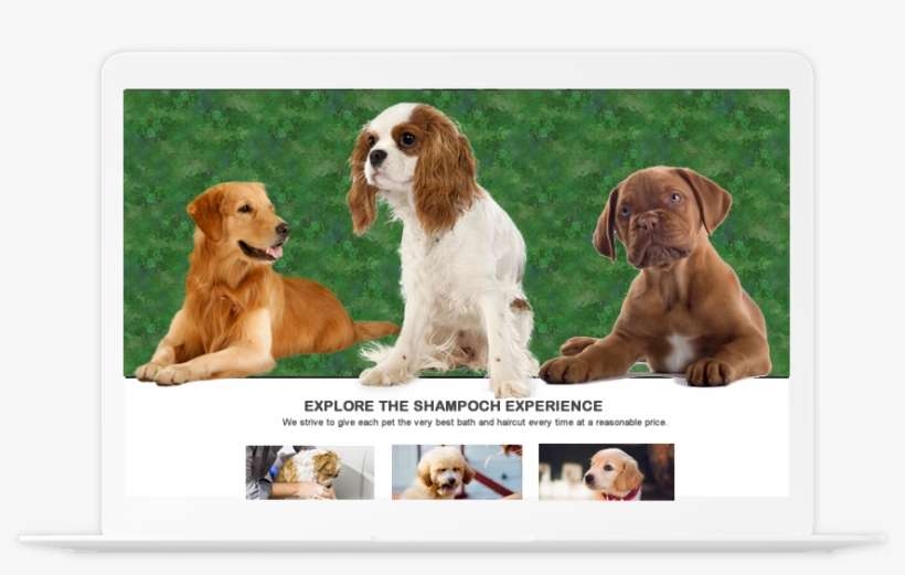 Image Is Not Available - Love Puppies, transparent png download