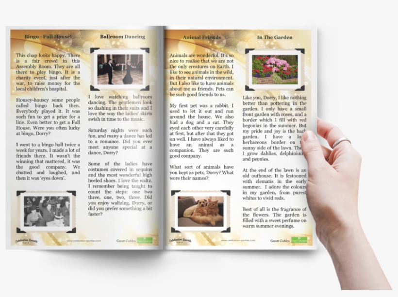 Mediamodifier Image - Magazine, transparent png download