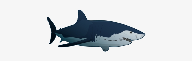 Great White Shark - Imagenes De Tiburones, transparent png download