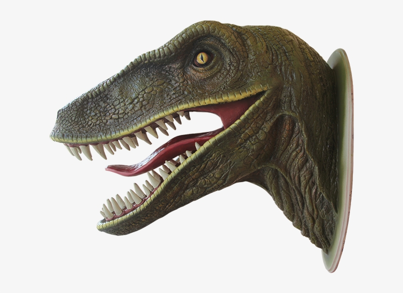 Head Velociraptor, transparent png download