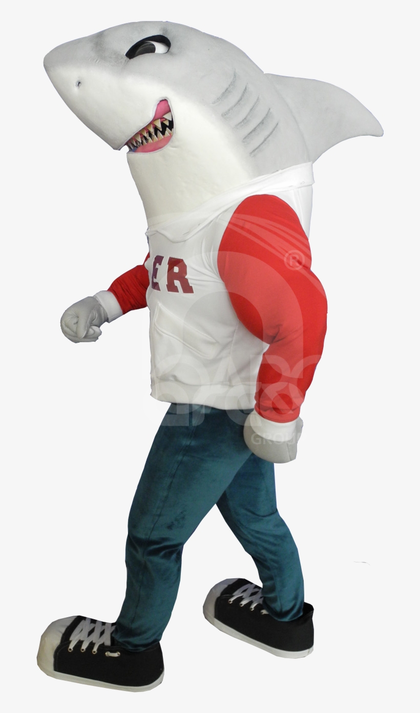 Tiger Shark, transparent png download