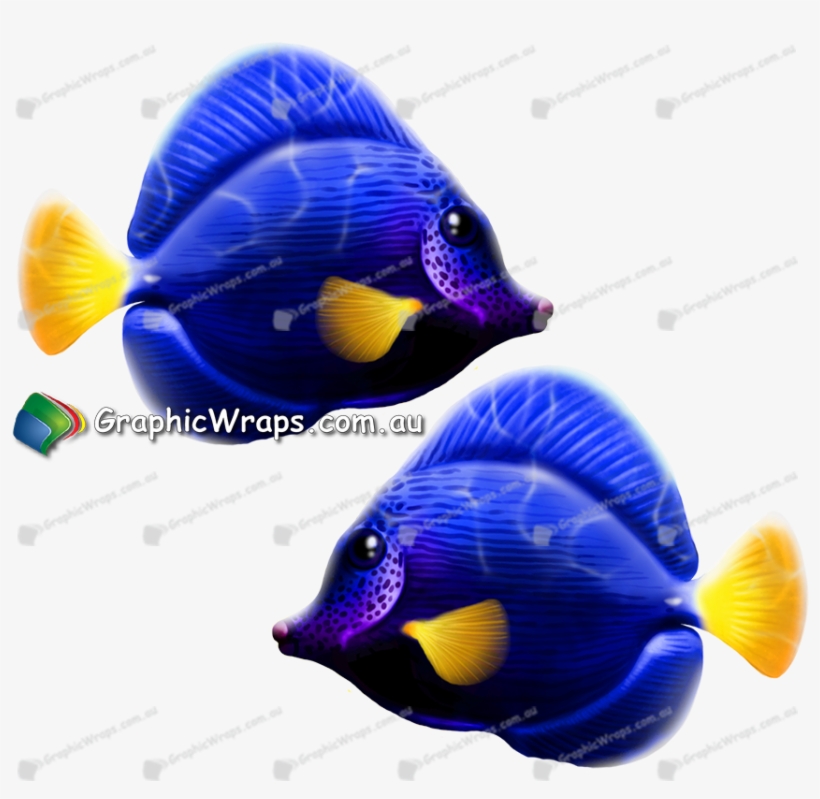 Purple Tang - Lionfish, transparent png download