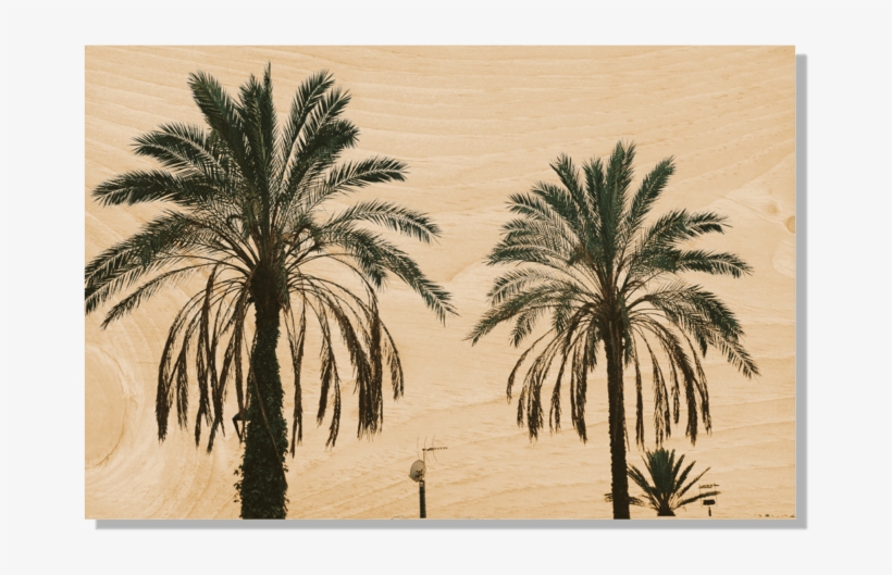 Postcard, transparent png download