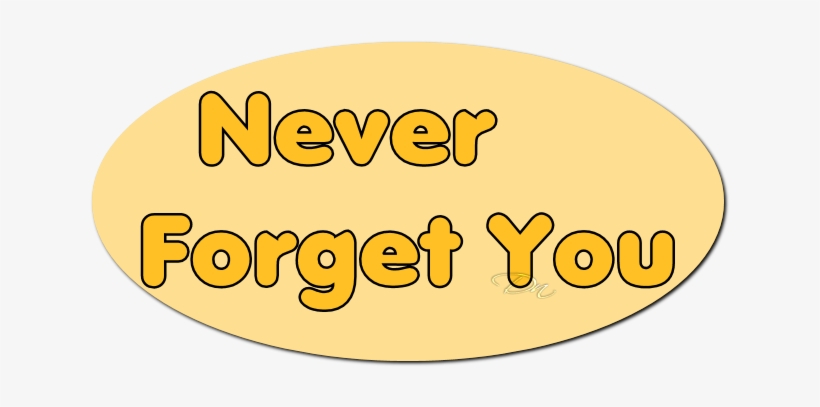Never Forget You - Never Forget U Meaning In Hindi, transparent png download