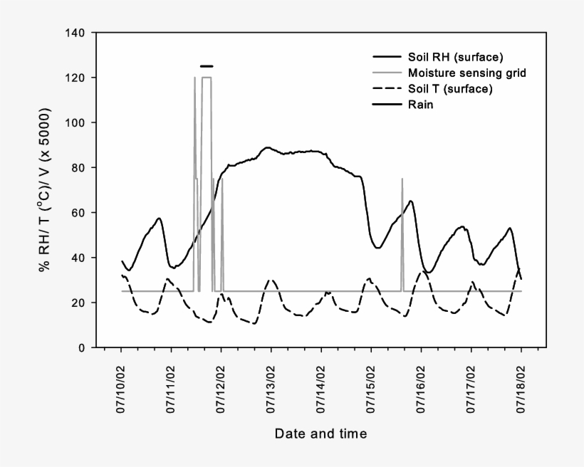 Light Rain Event At Sorkuli 01 On 12 July 2002 Was - Diagram, transparent png download